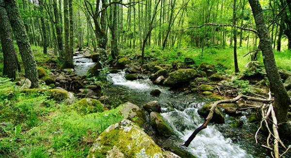 Ruralrut-El Tiemblo Wifi, Cabina De Hidromasaje, Aire Acondicionado Y A Pocos Metros De Zonas De Bano Naturales Екстериор снимка