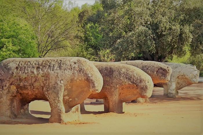 Ruralrut En El Tiemblo Precios Especiales A Partir De 7 Noches, Wifi, Cabina De Hidromasaje, Aire Acondicionado, Zonas De Bano Naturales Cercanas Ел Тиембло Екстериор снимка