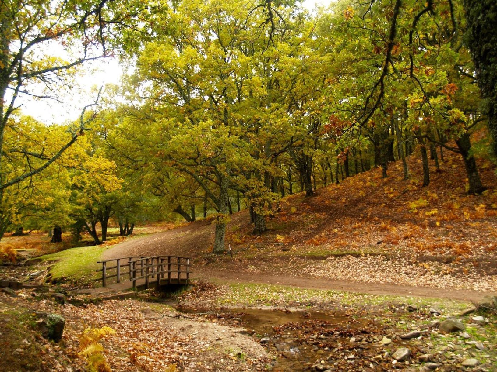 Ruralrut En El Tiemblo Precios Especiales A Partir De 7 Noches, Wifi, Cabina De Hidromasaje, Aire Acondicionado, Zonas De Bano Naturales Cercanas Ел Тиембло Екстериор снимка