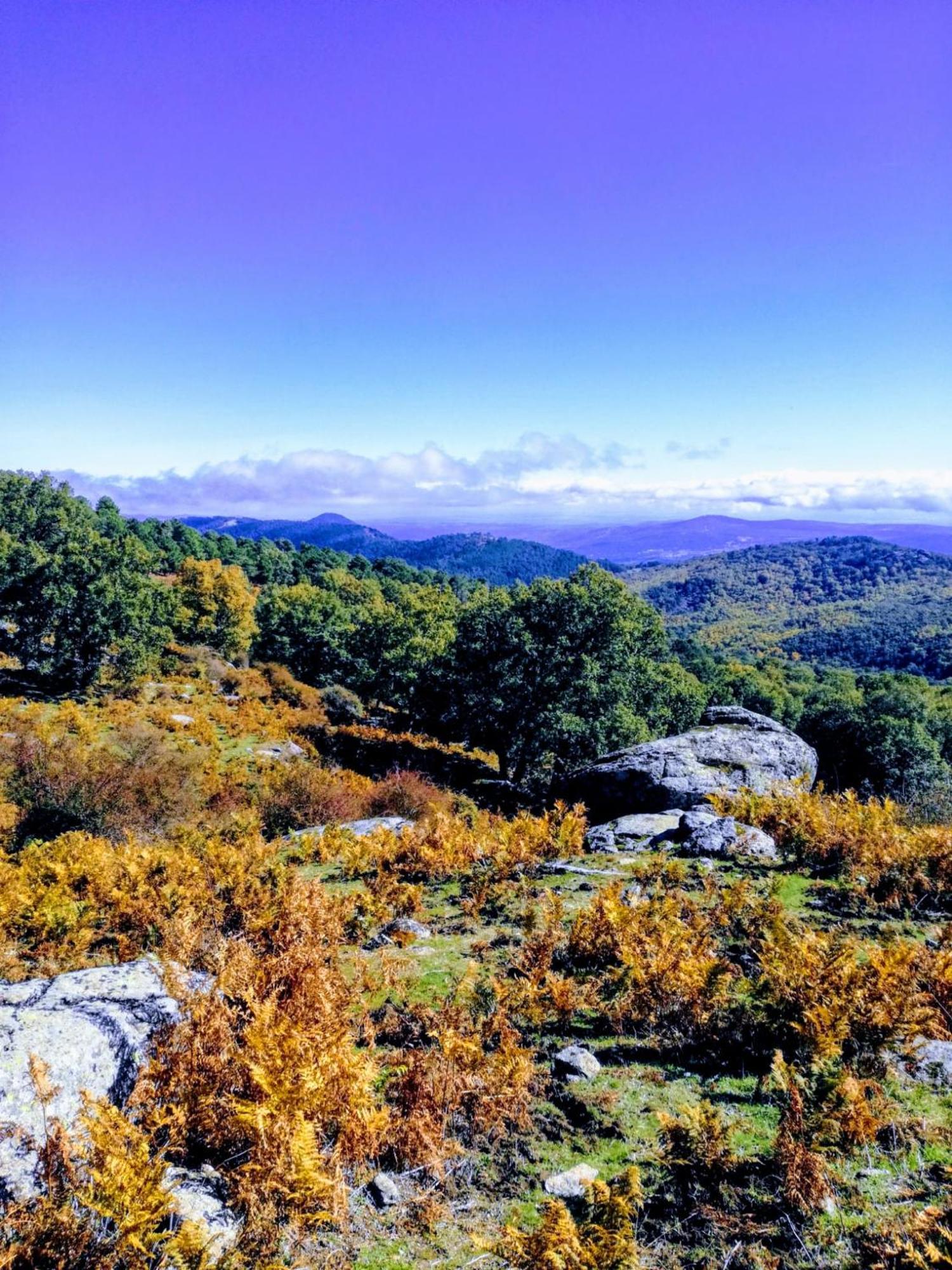 Ruralrut En El Tiemblo Precios Especiales A Partir De 7 Noches, Wifi, Cabina De Hidromasaje, Aire Acondicionado, Zonas De Bano Naturales Cercanas Ел Тиембло Екстериор снимка